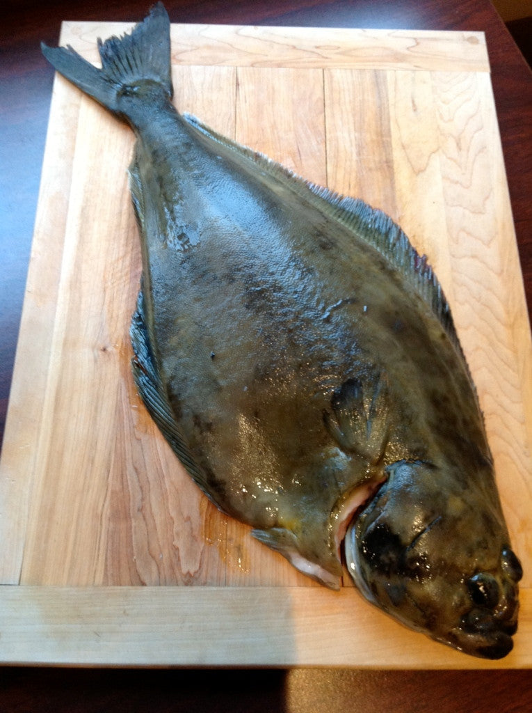 FRESH ATLANTIC HALIBUT WHOLE