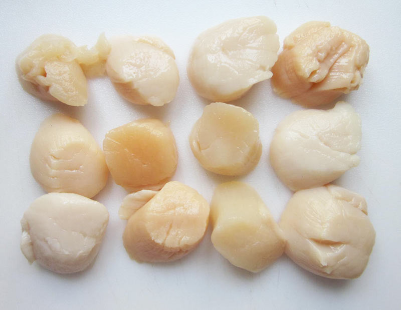 SEA SCALLOPS - SIZE U10